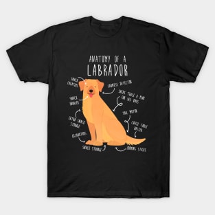 Yellow Labrador Retriever Dog Anatomy T-Shirt